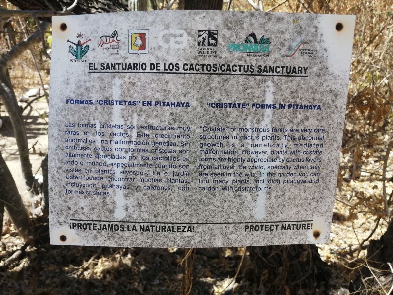 Santuario de los Cactus - Turismo La Paz