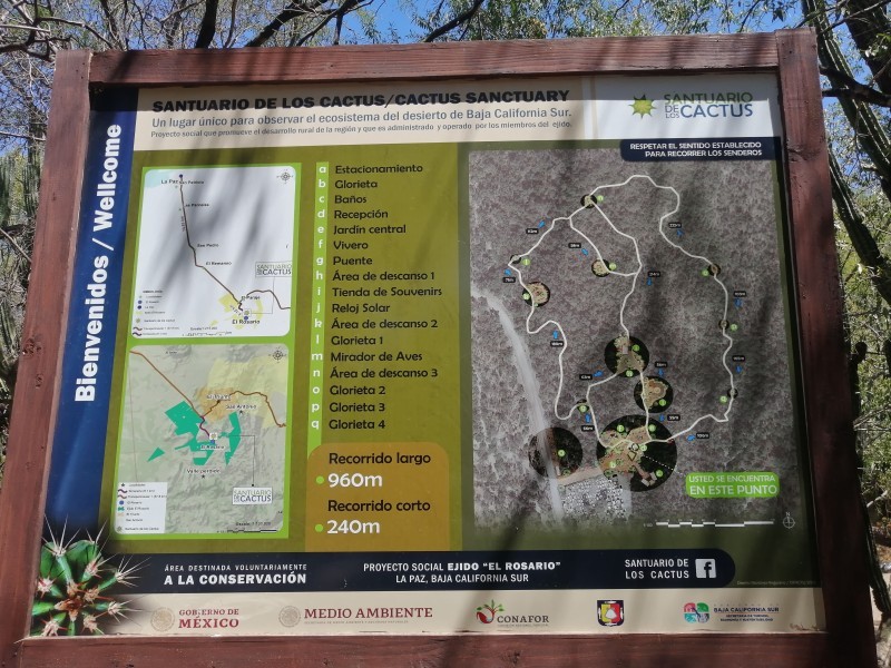 Santuario de los Cactus - Turismo La Paz