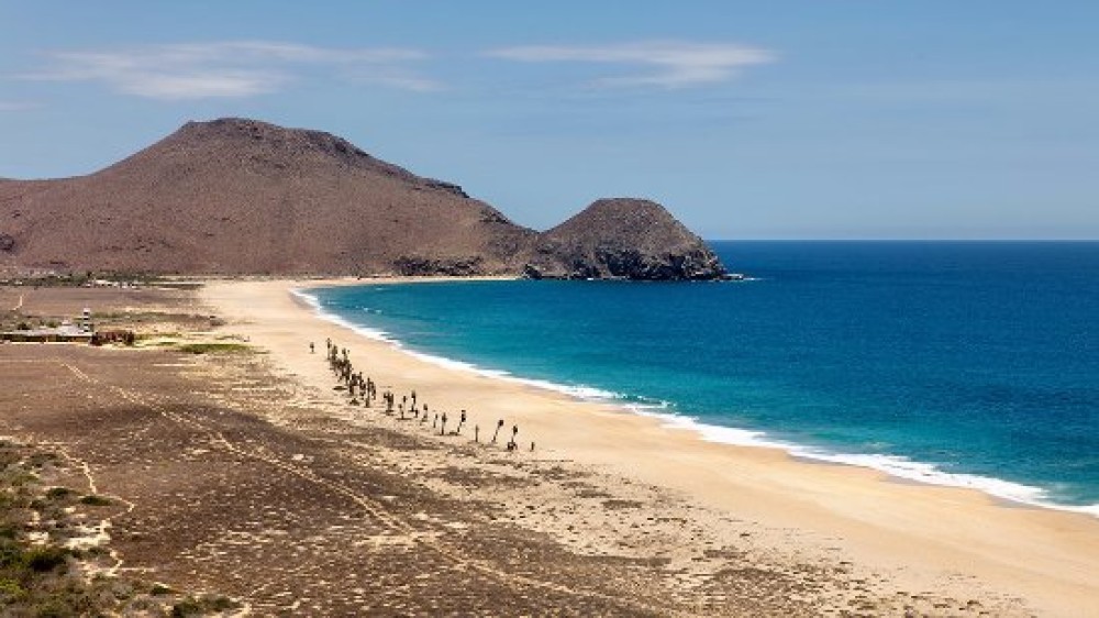 Punta Lobos
